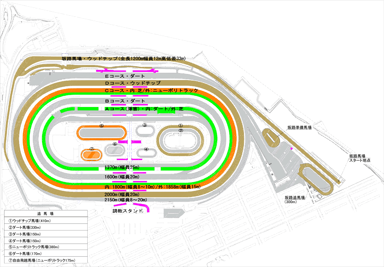 施設ガイド 美浦トレーニング センター Jra