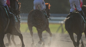 �����������̃C���[�W