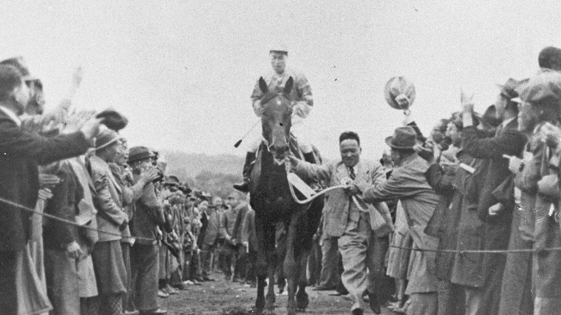 �����D�x