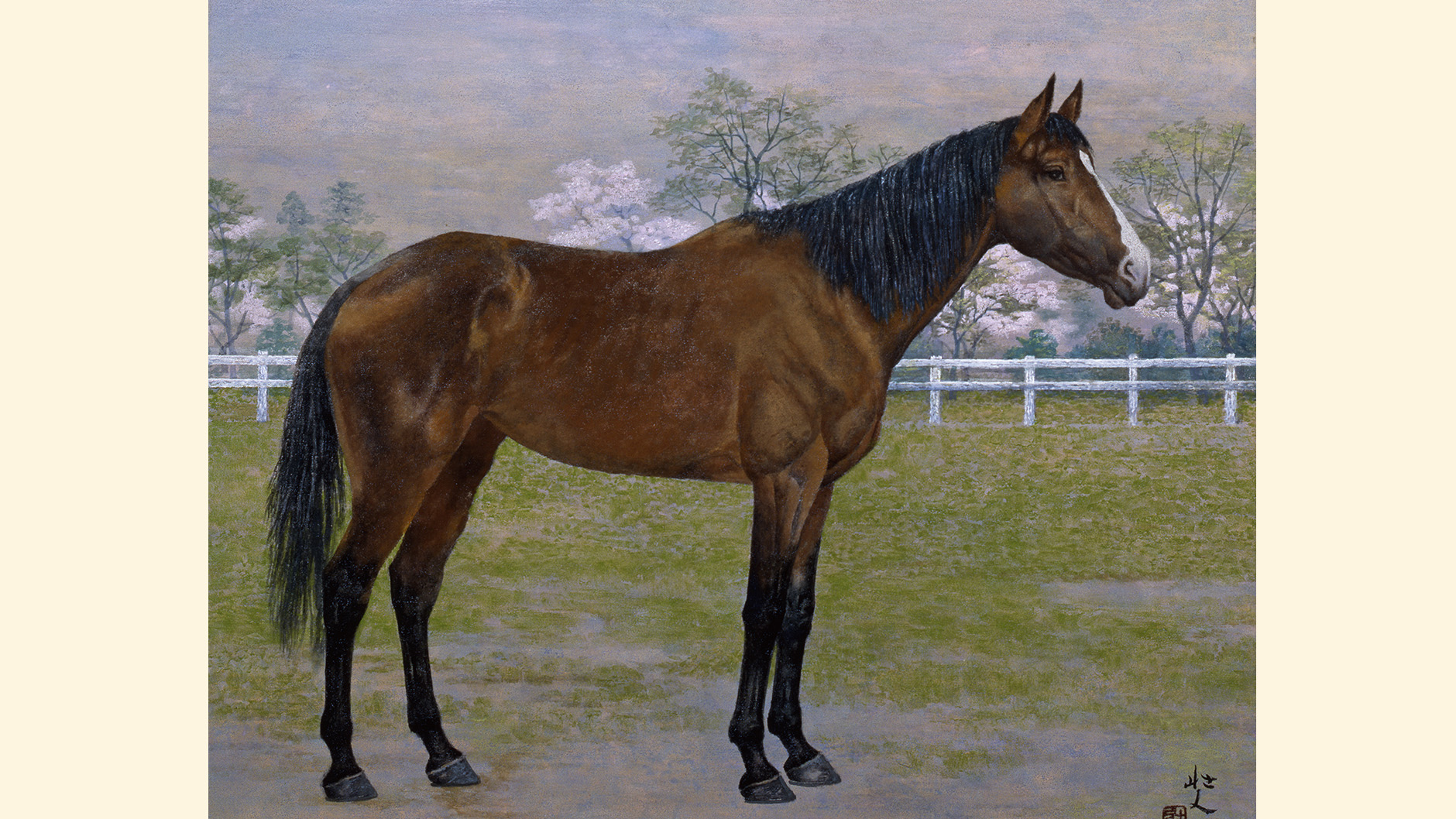 �g�L�c�J�[�̏ё���