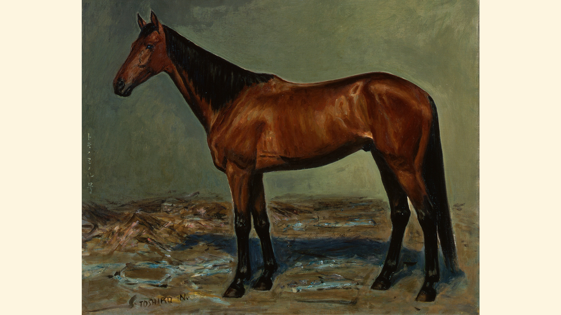 �g�L�m�~�m���̏ё���