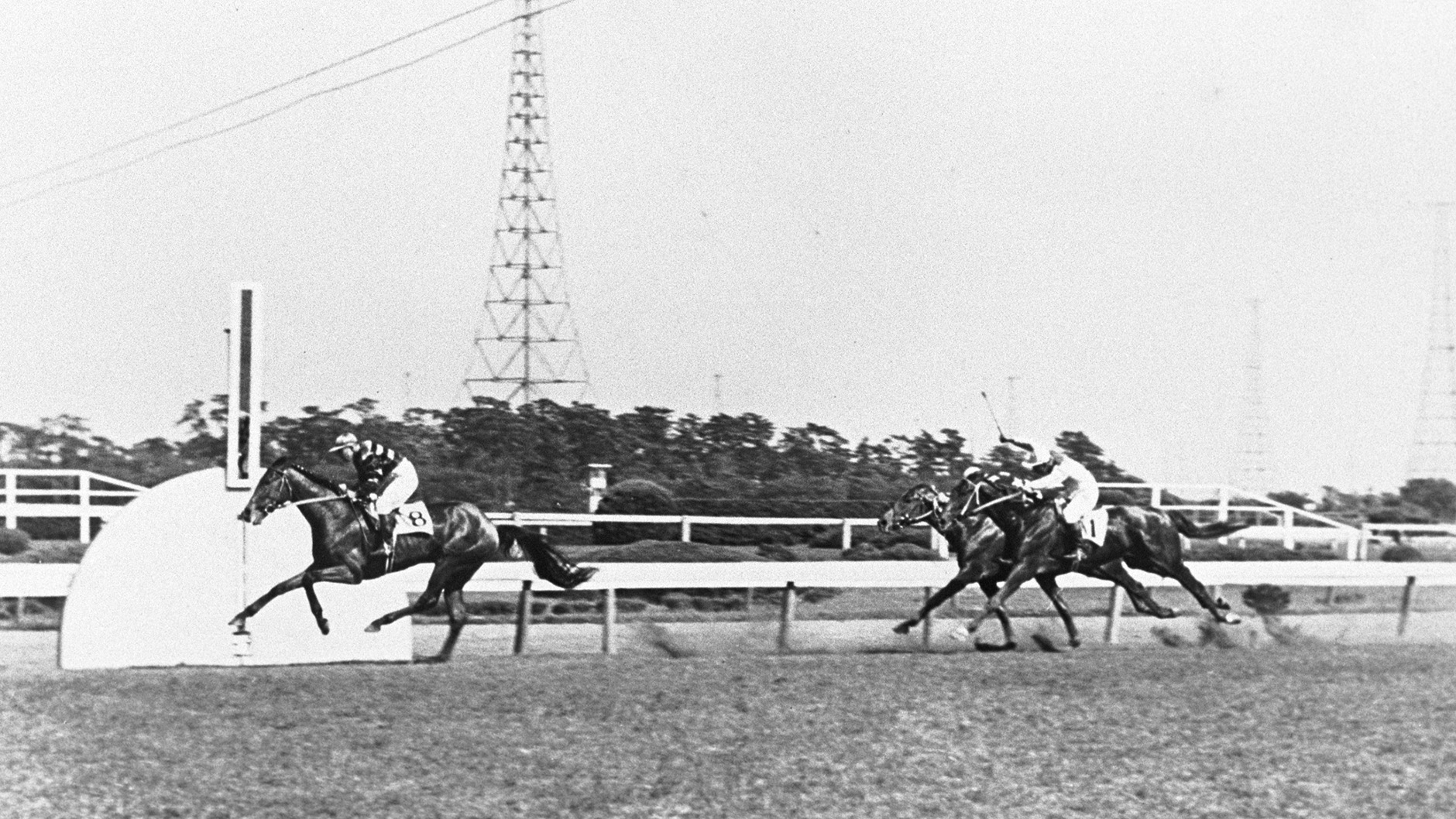 1951�N �H����