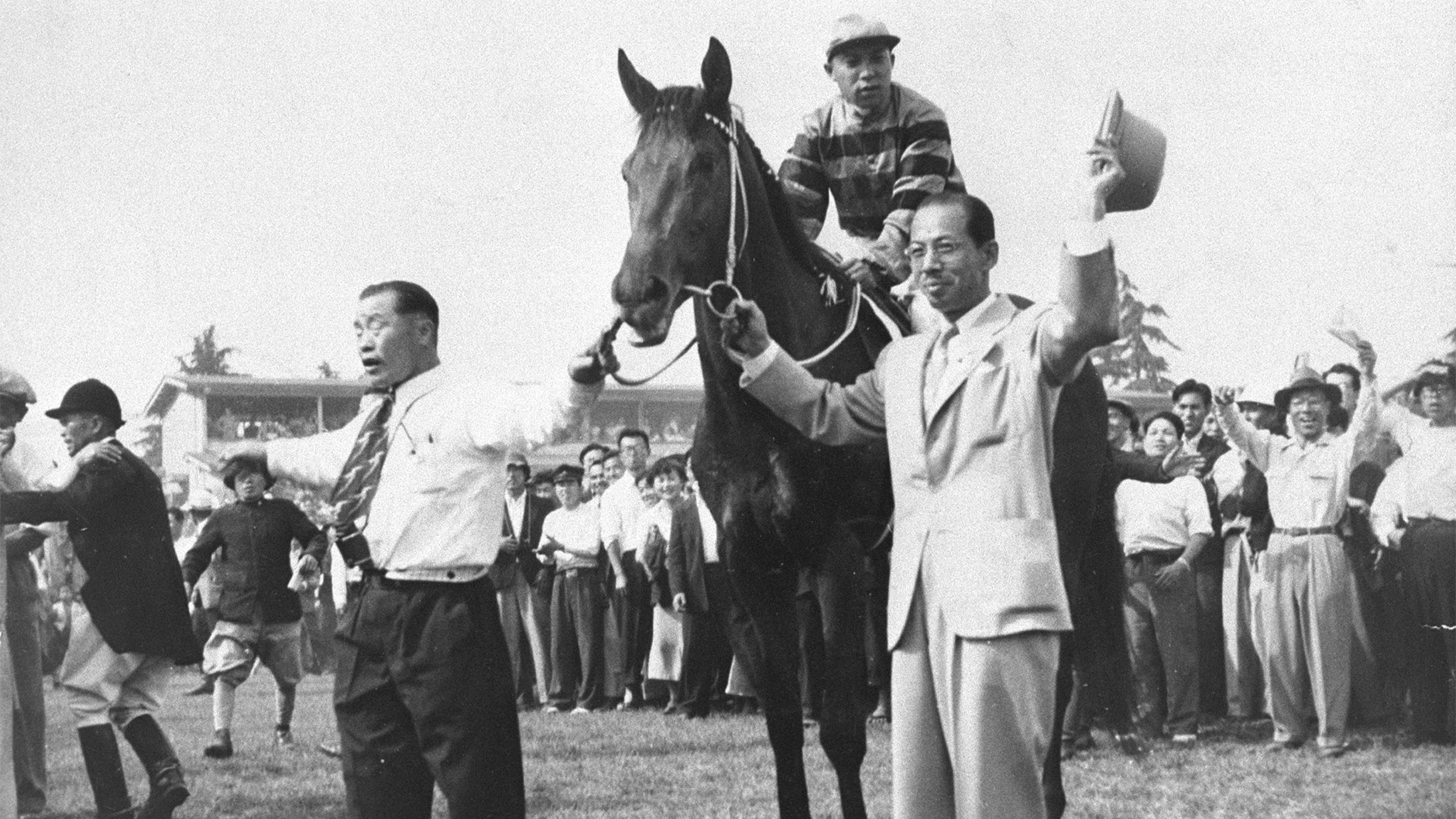 1951�N �����D�x