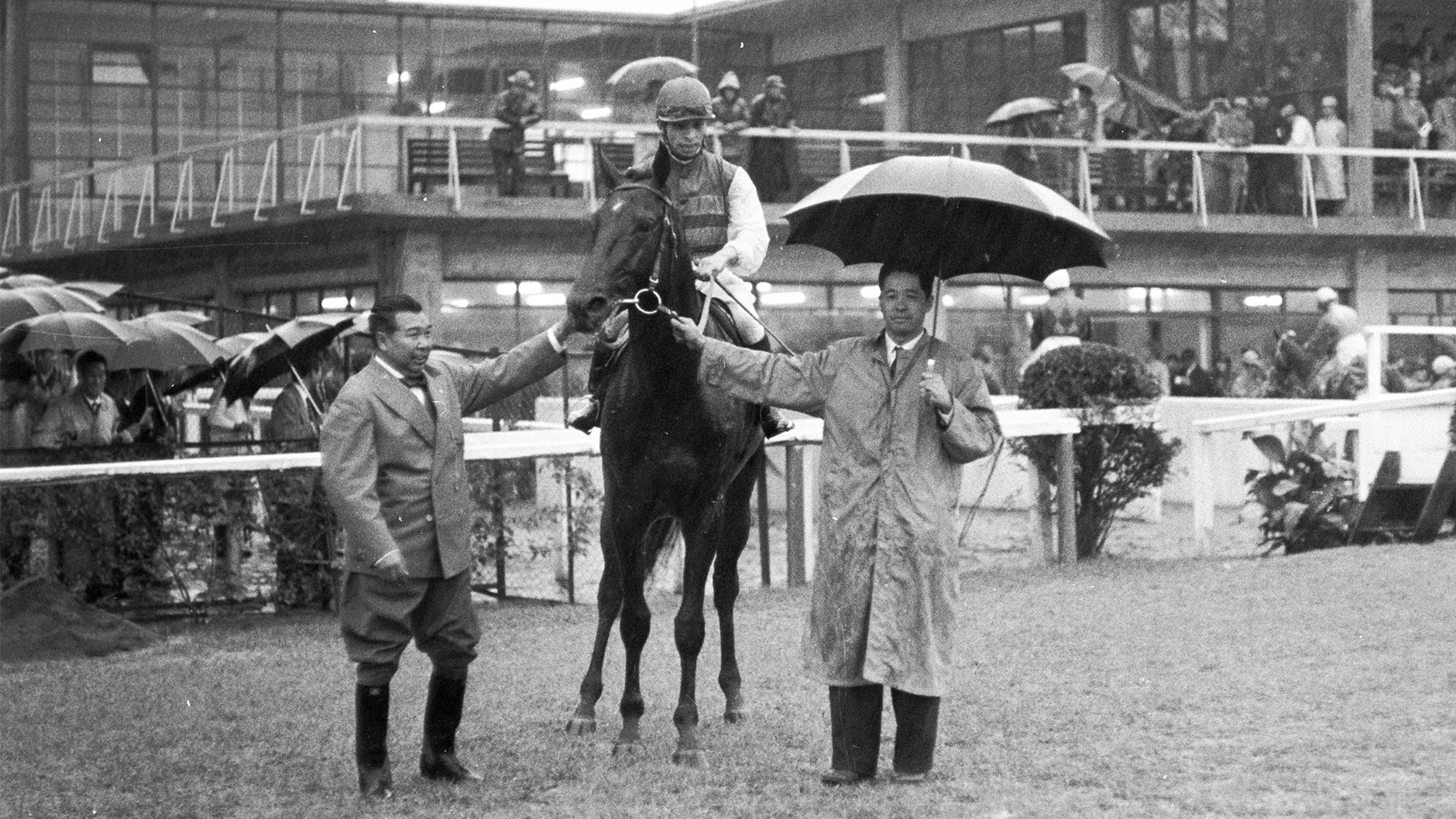 1957�N �Z���g���C�g�L�O