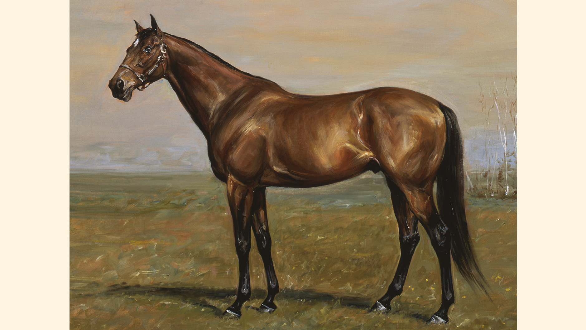 �V���U���̏ё���