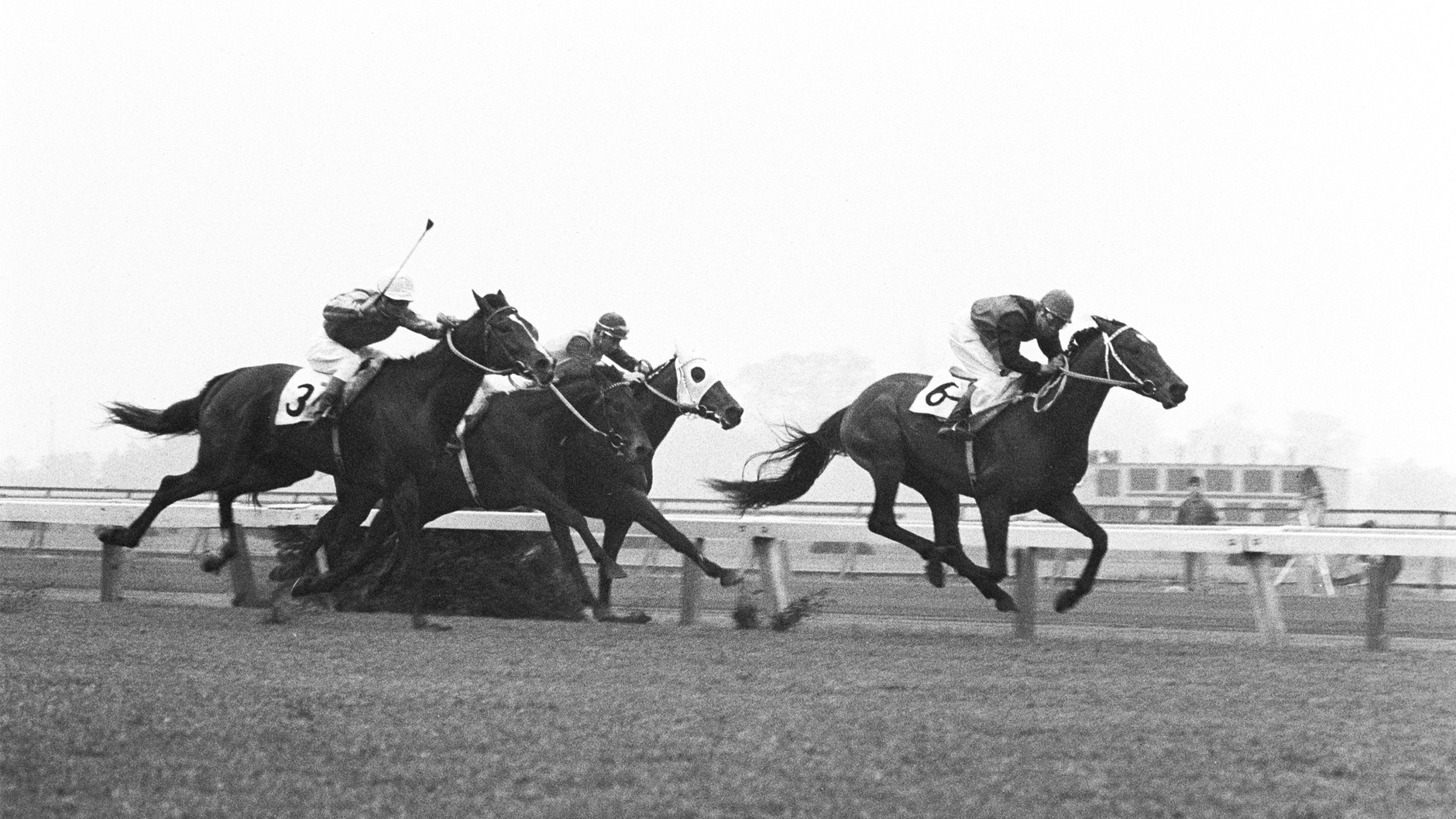 1964�N �H����