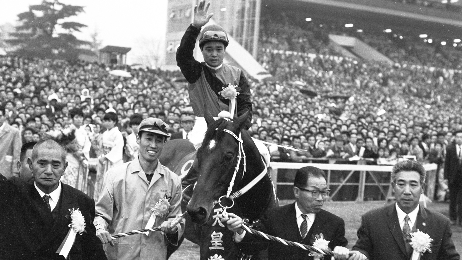 1965�N �V�c�܁i�H�j