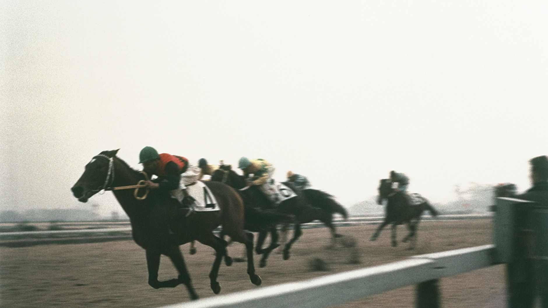 1965�N �L�n�L�O