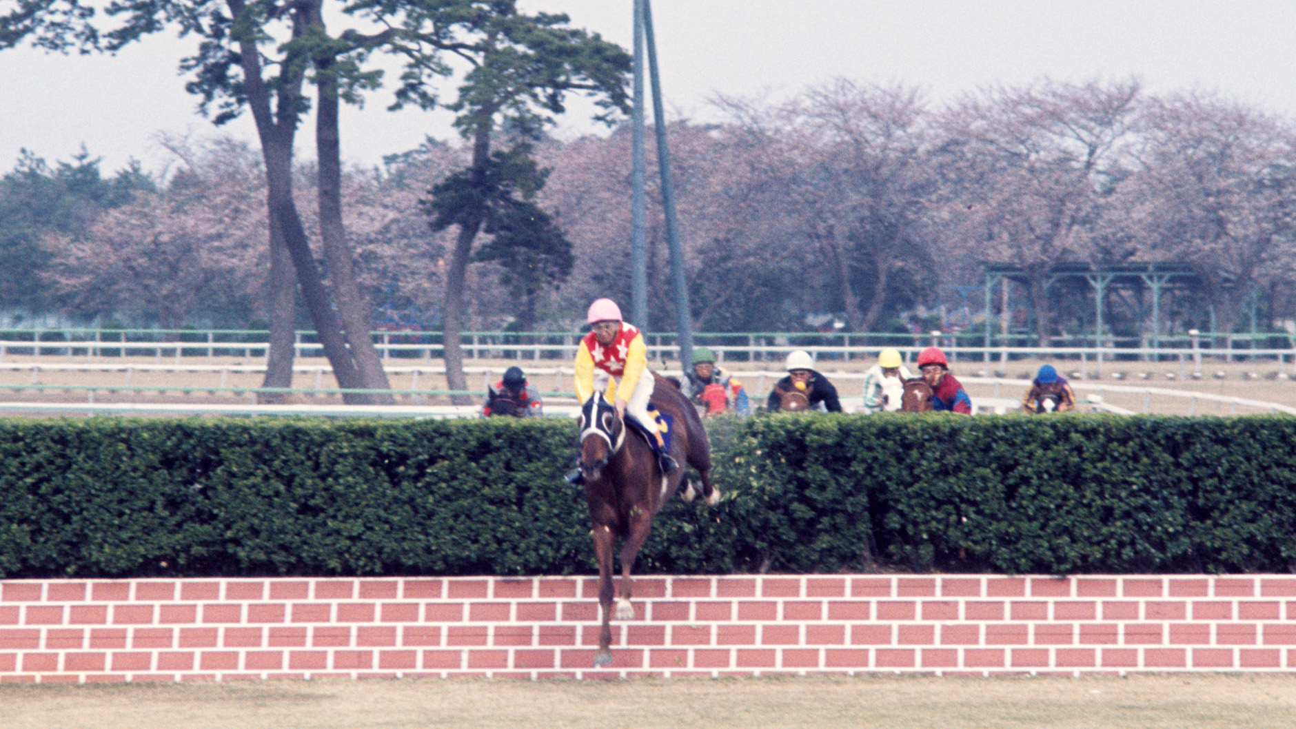 1974�N ���R���Q�i�t�j