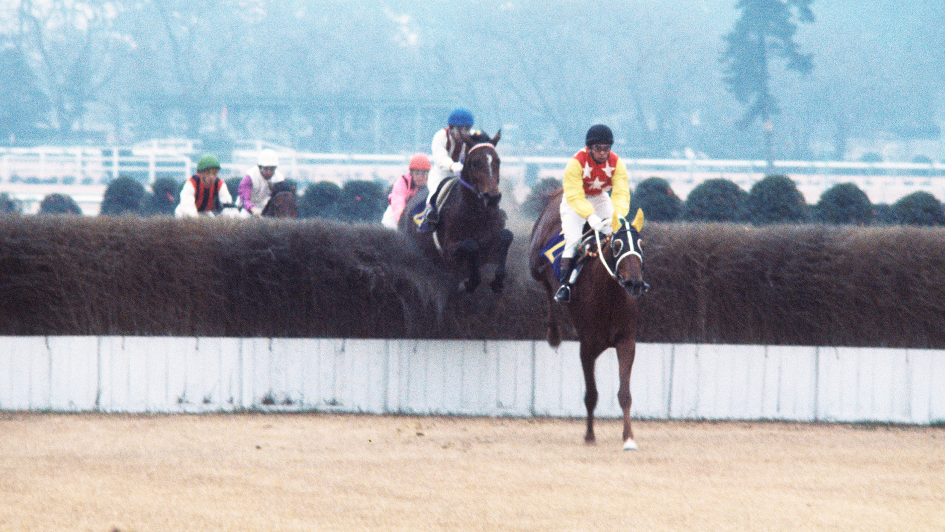 1975�N ���R���Q�i�H�j