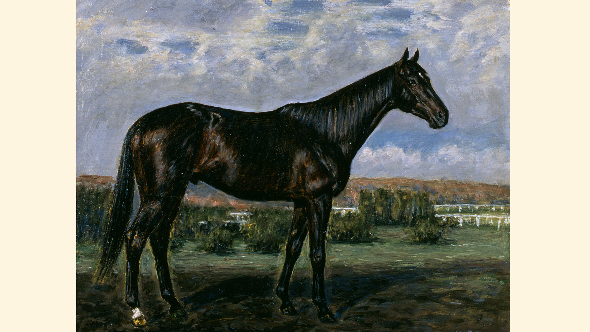 �n�C�Z�C�R�[�̏ё���