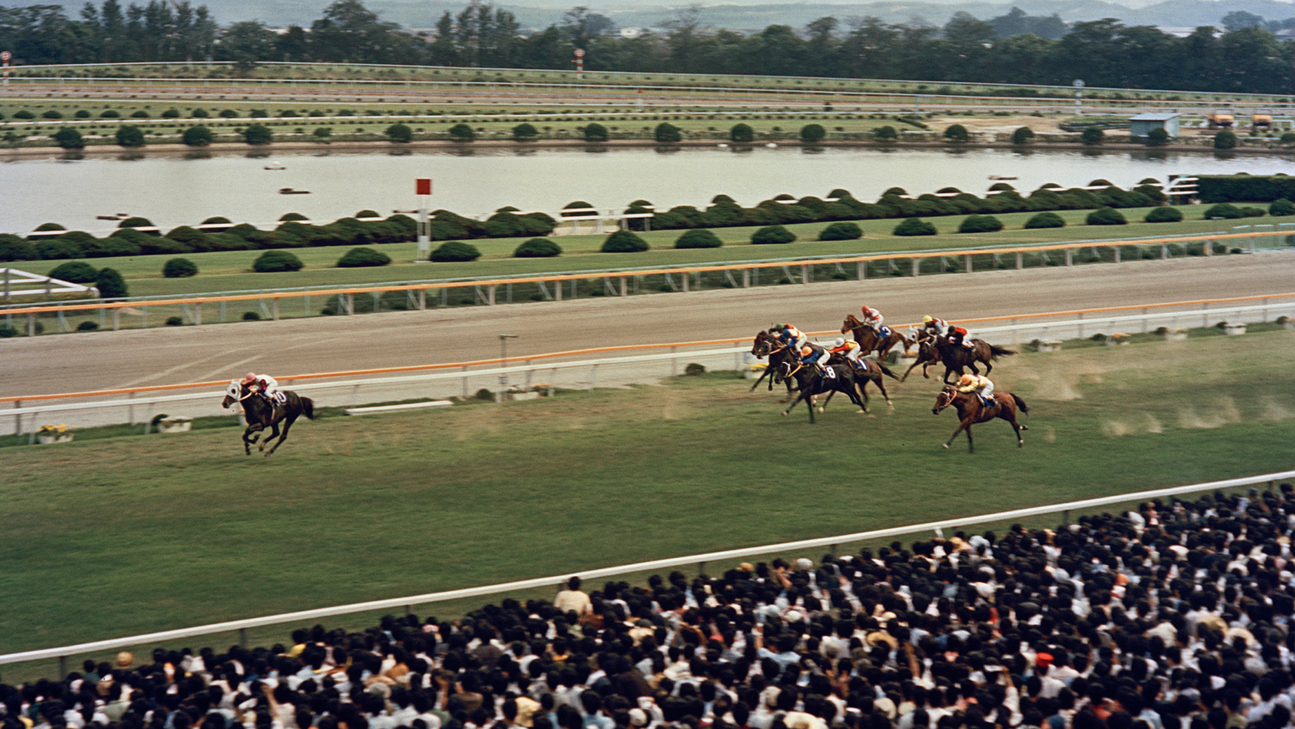 1974�N ��ˋL�O