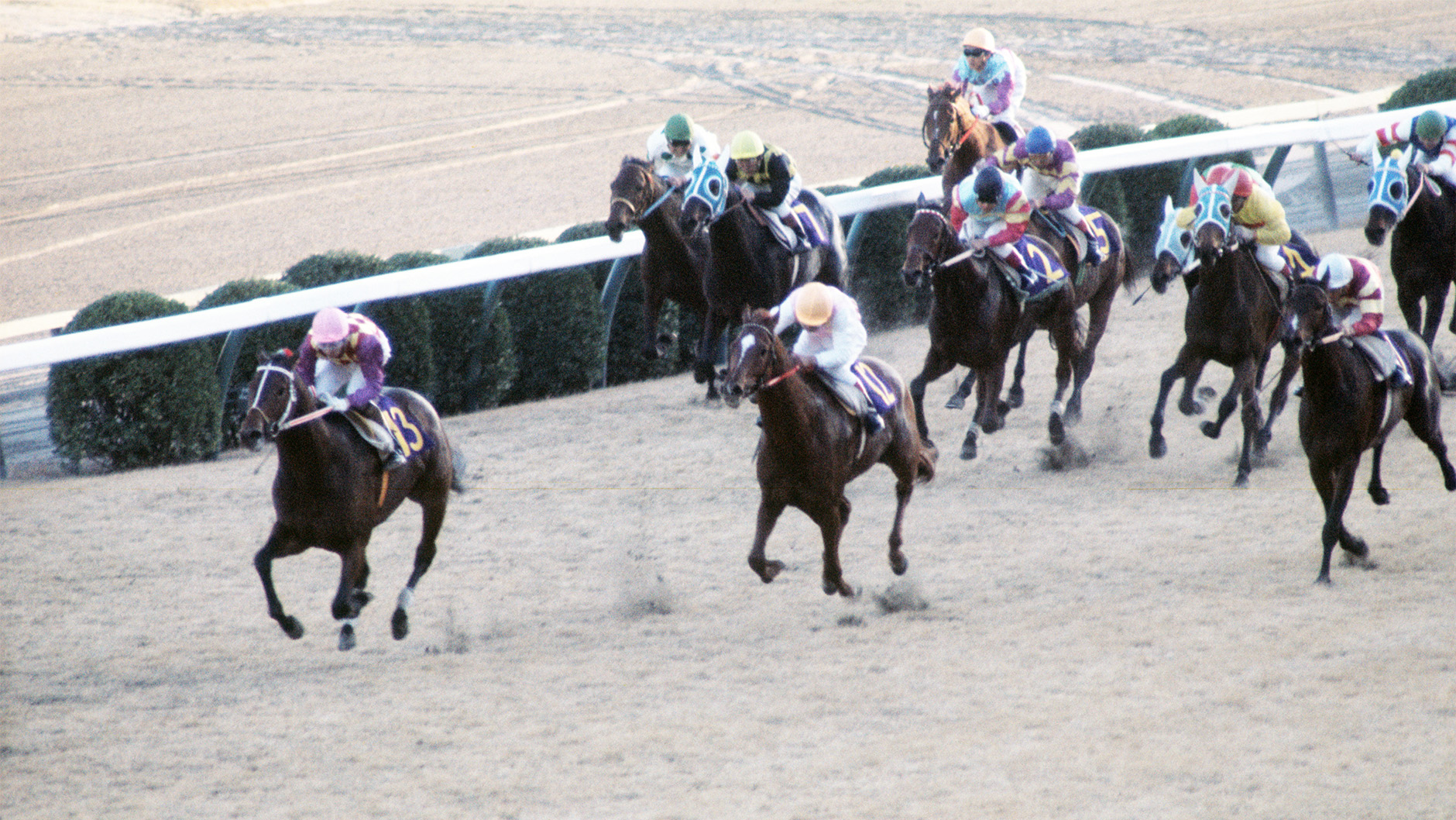 1976�N �L�n�L�O