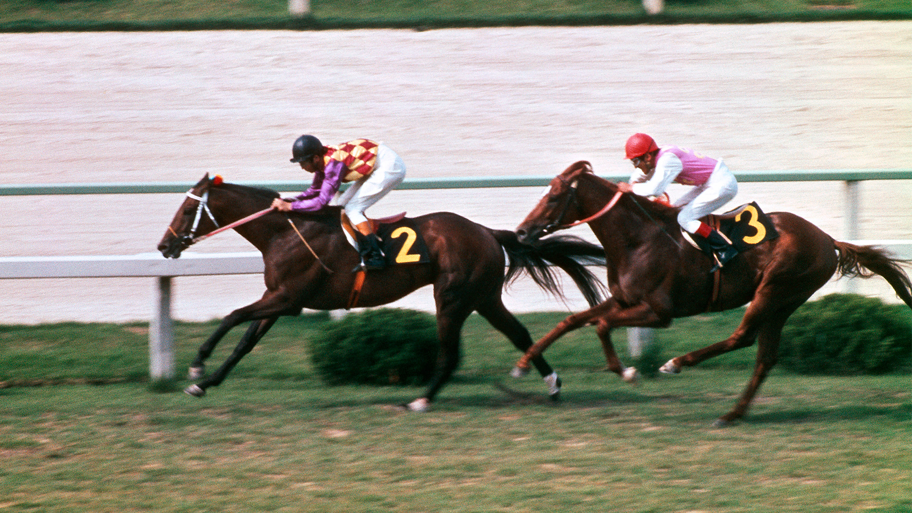 競馬パネル：トウショウボーイ「1977年 第7回高松宮杯」※カラー直線 競馬パネル：トウショウボーイ「1977年 第7回高松宮杯」※カラー直線