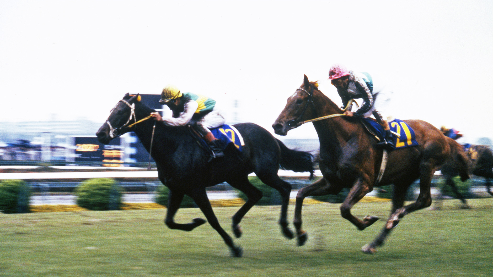 1983�N �H����