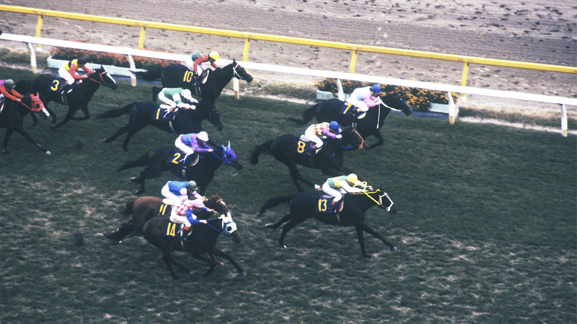 1984�N �V�c�܁i�H�j