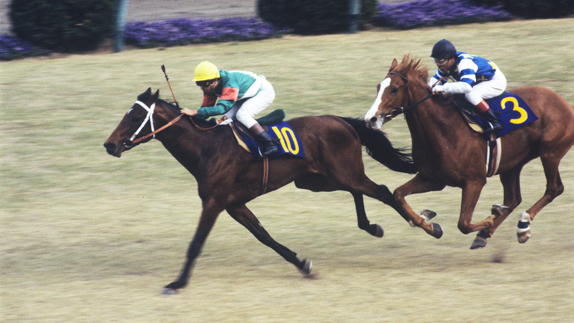 1984�N �H����