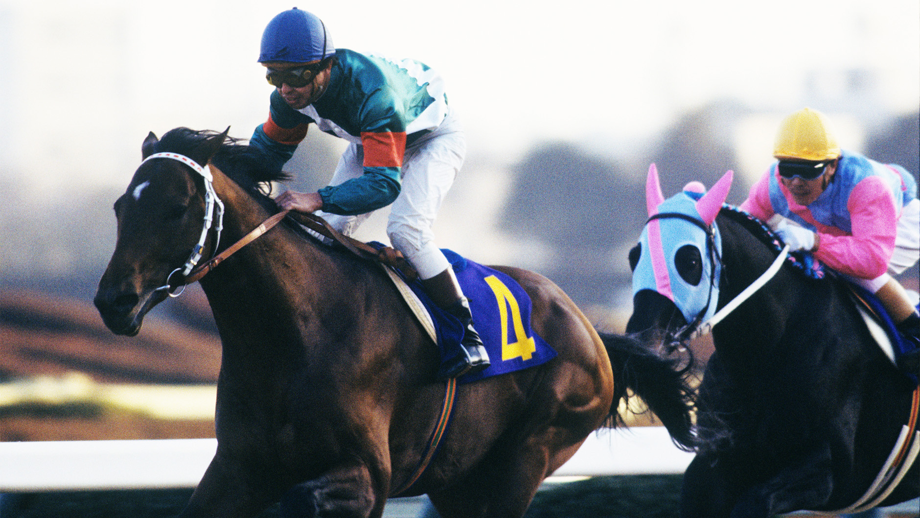 1984�N �L�n�L�O