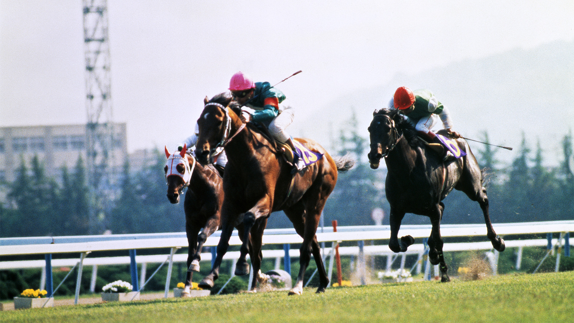 1985�N �V�c�܁i�t�j