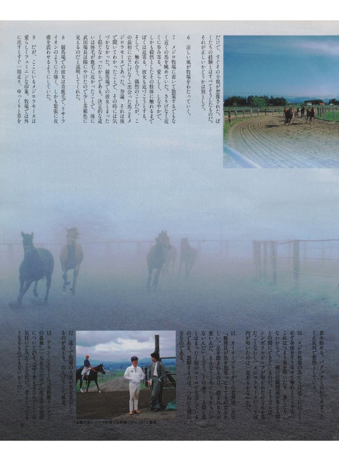 mihobooさまご確認専用ページ MY HEALTH WEB」を開設しました｜お知らせ｜蝶理健康保険組合