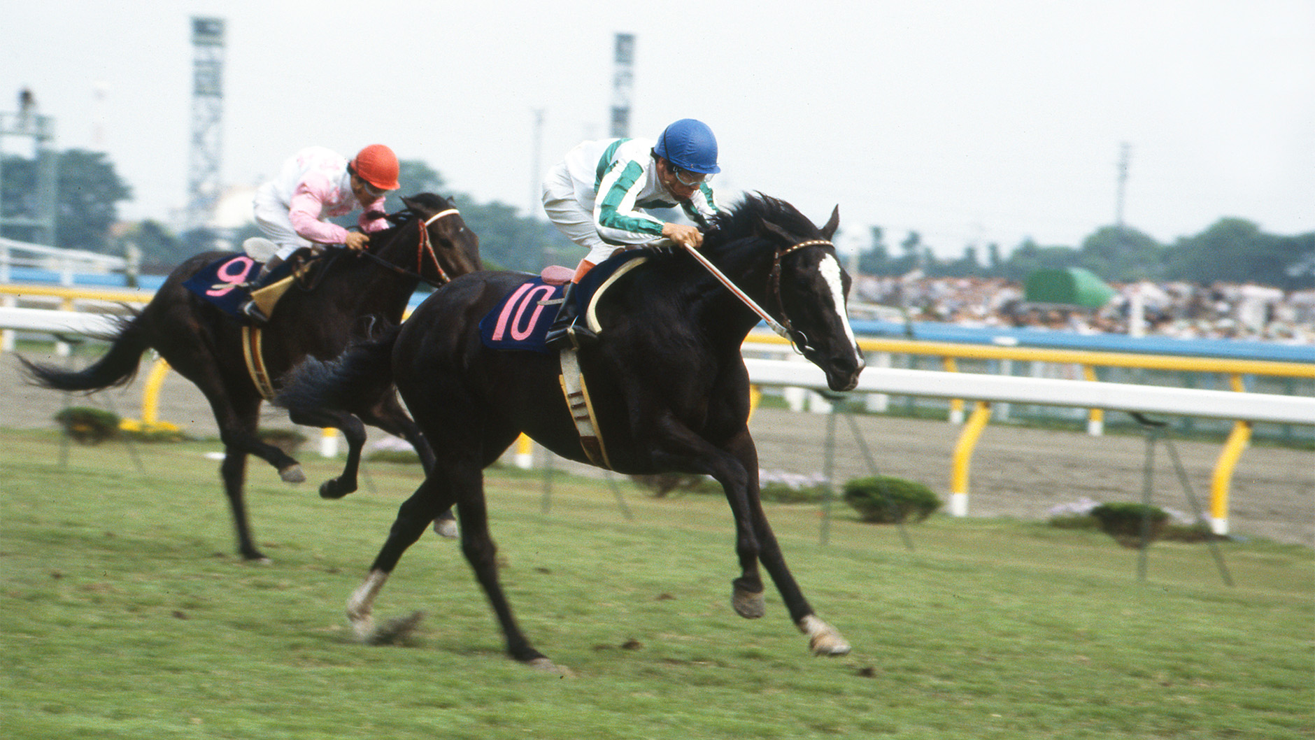 1986�N �D�x�Ĕn