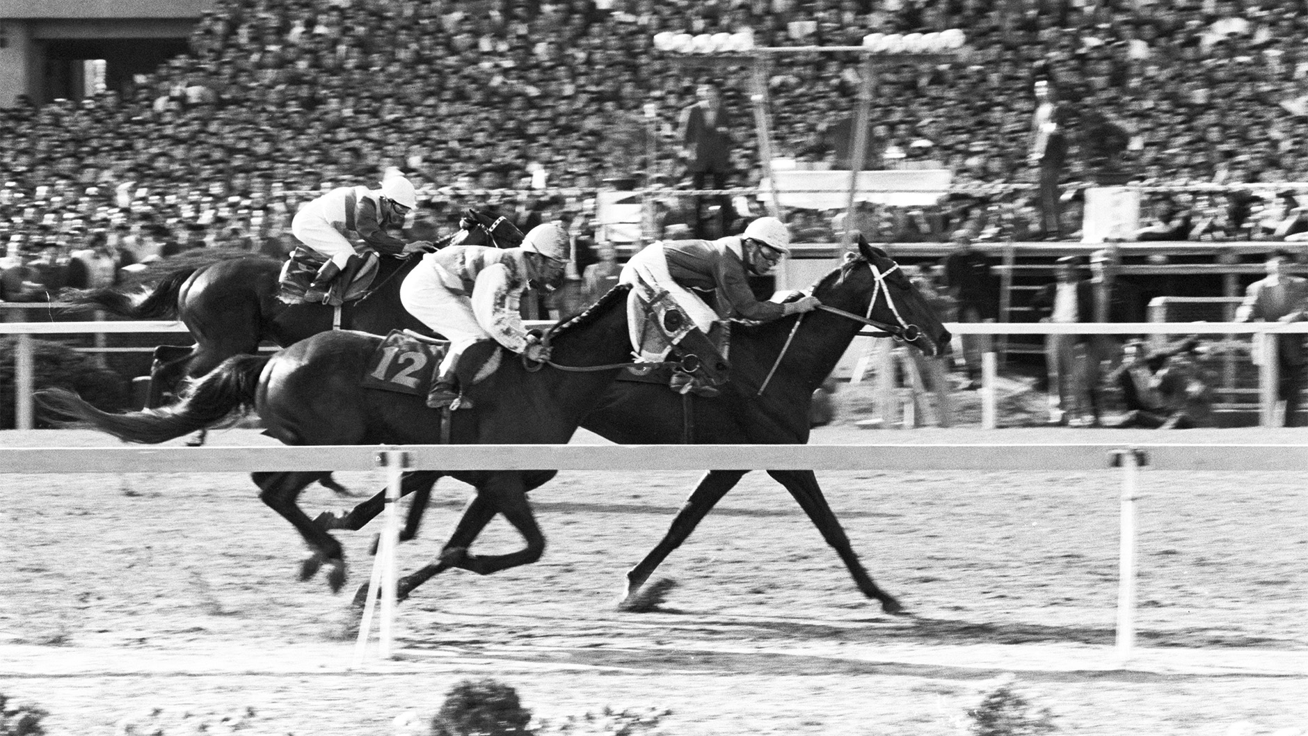 1967�N �V�c�܁i�t�j