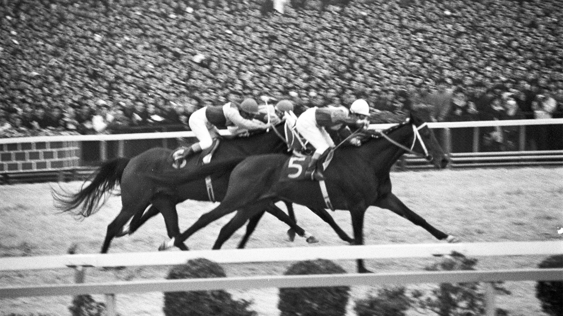 1970�N �L�n�L�O