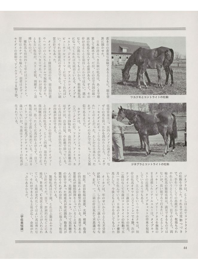 N【プロフ必読】ページ HTML5 Webook