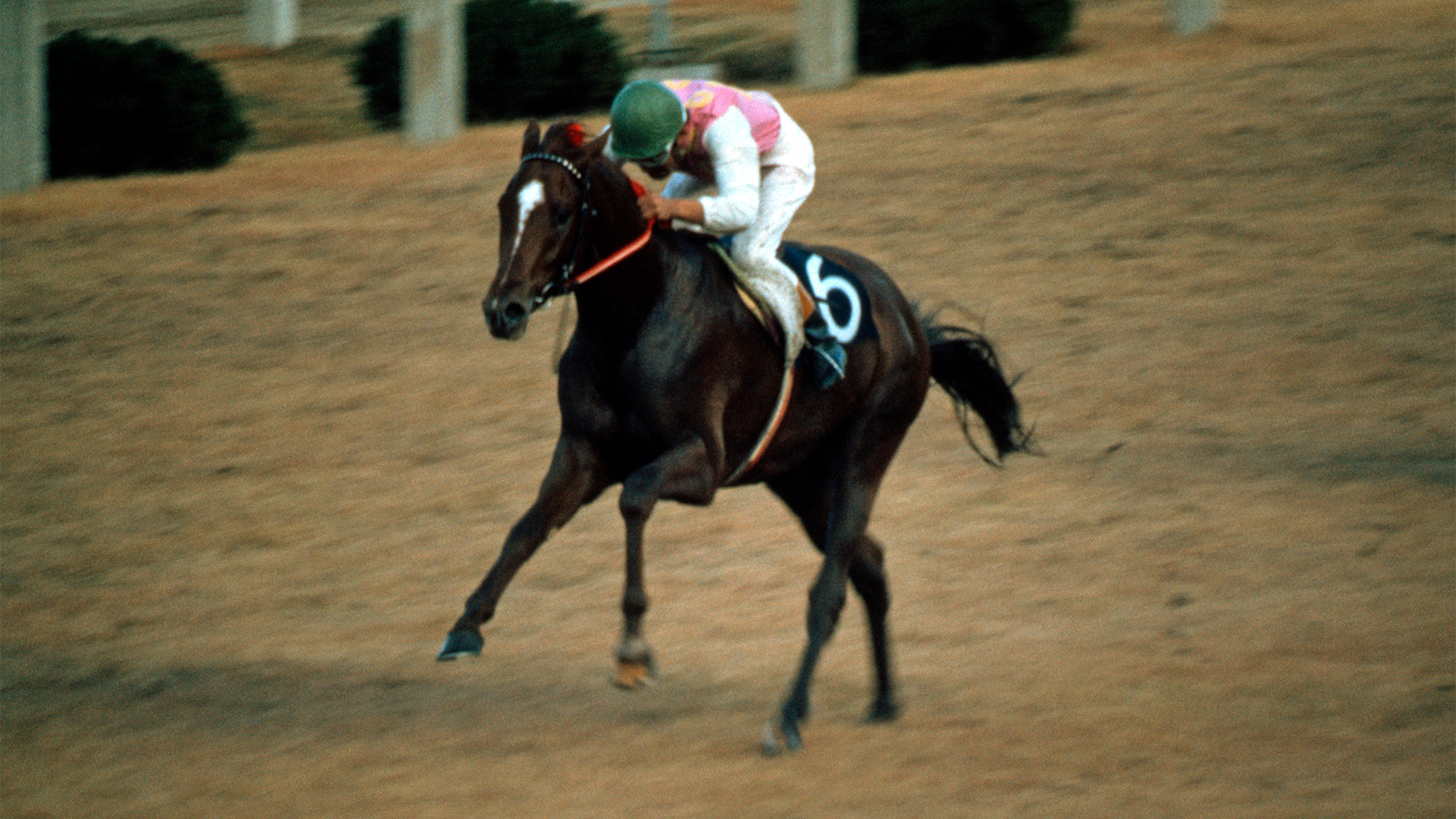 1975�N ��_3��S