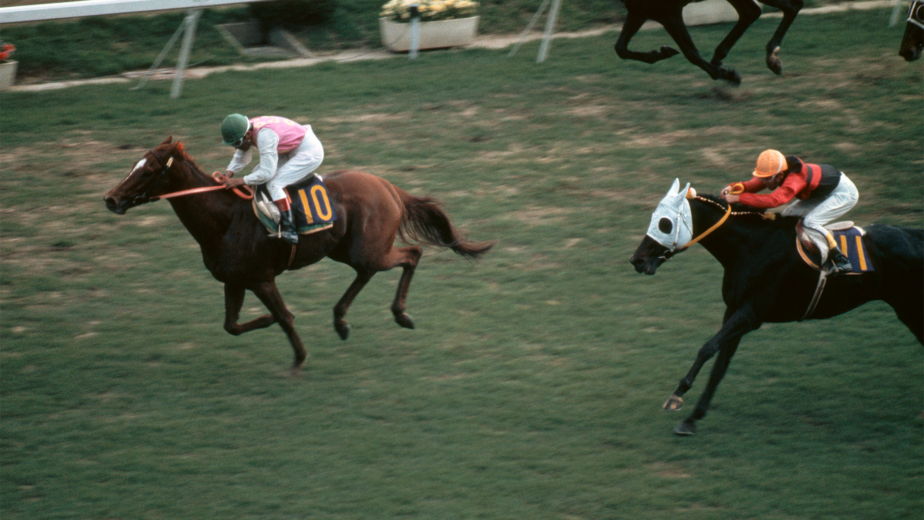 1977�N �V�c�܁i�t�j