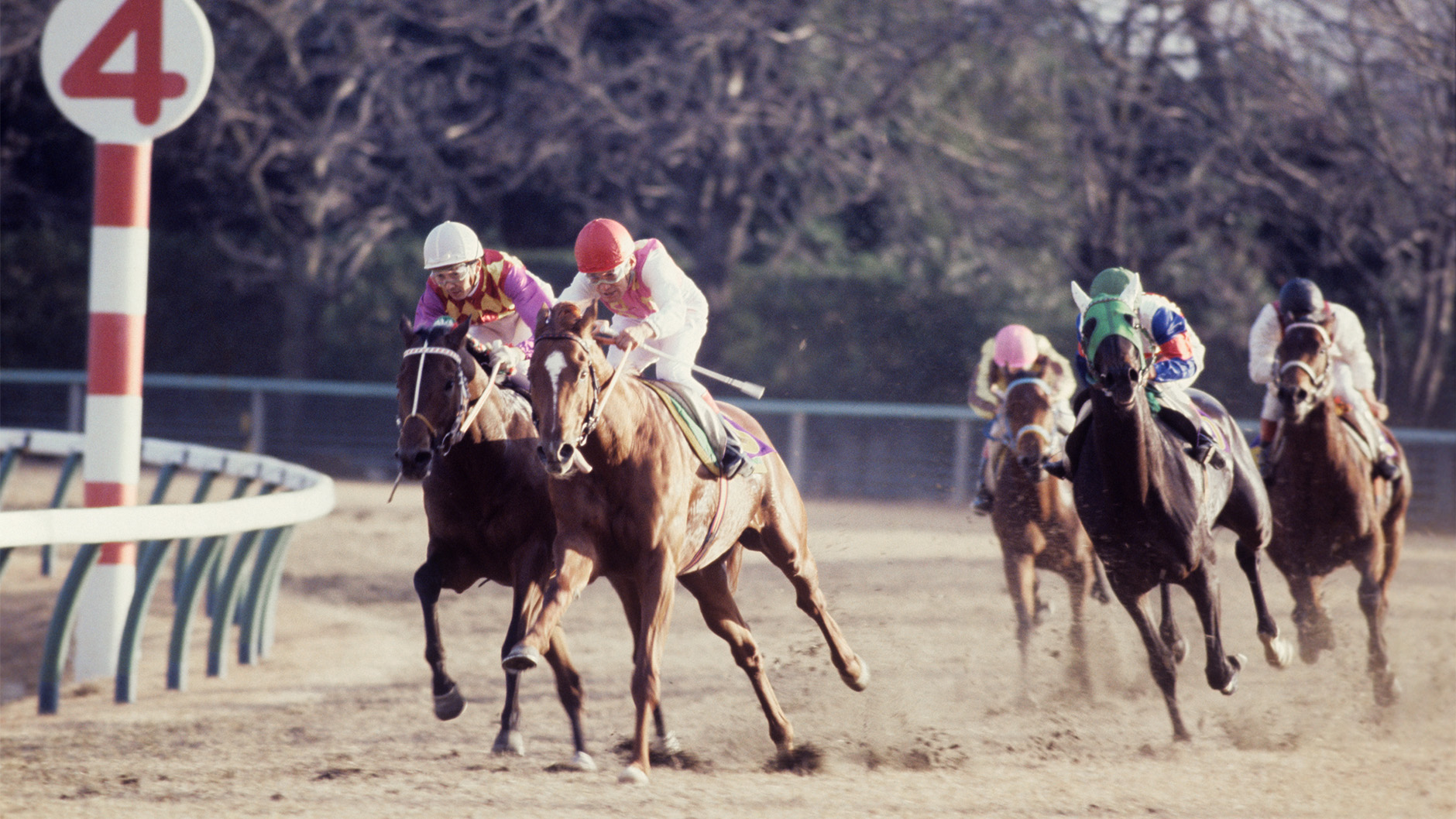 1977�N �L�n�L�O