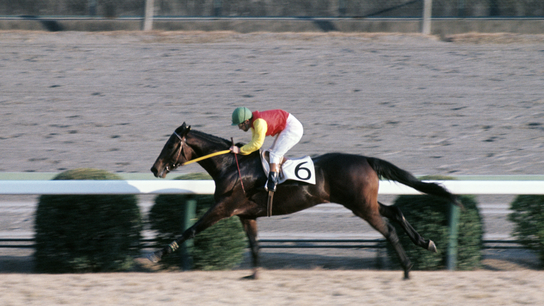 1976�N �����t3��S