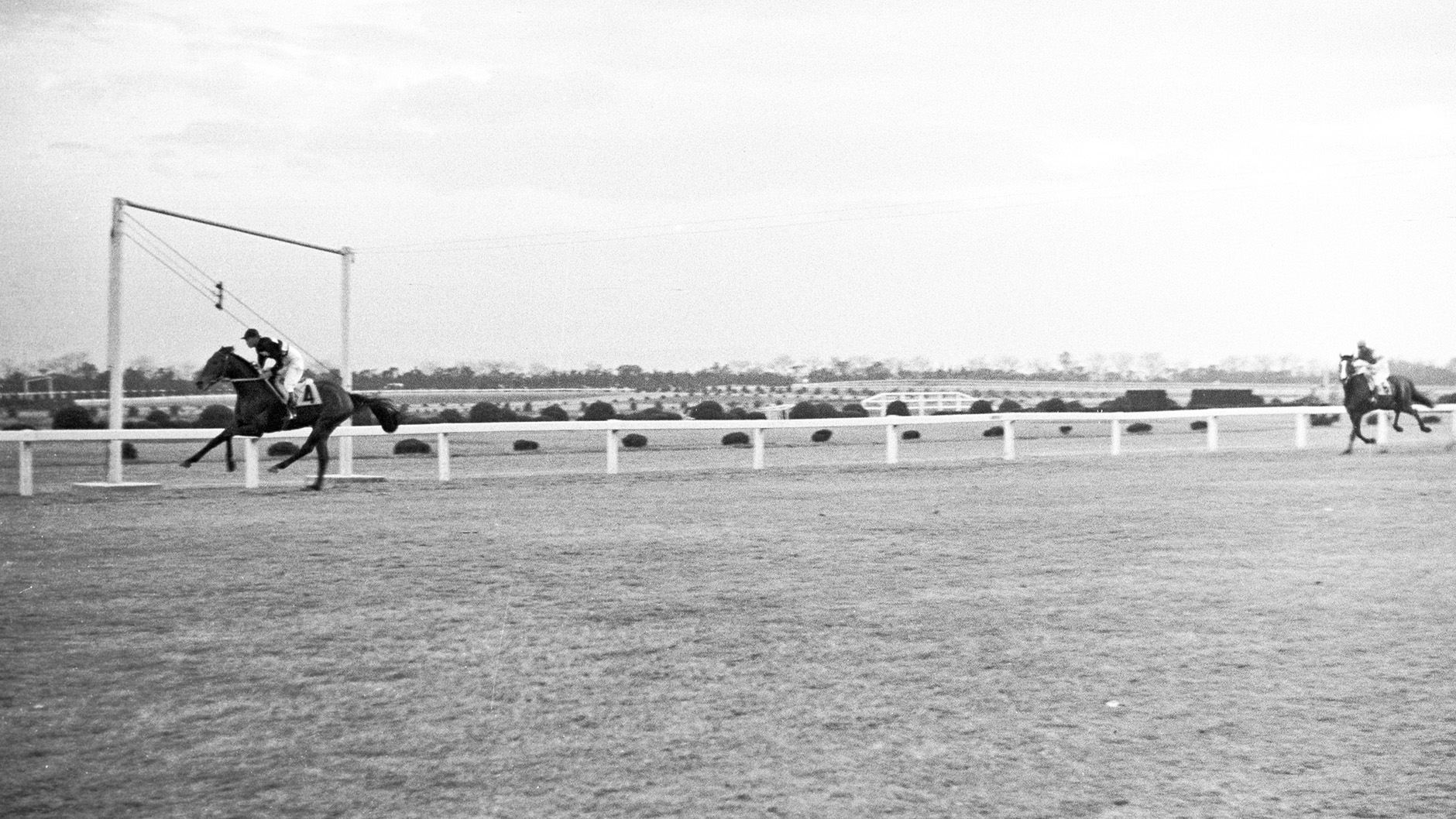 1955�N �e�ԏ�