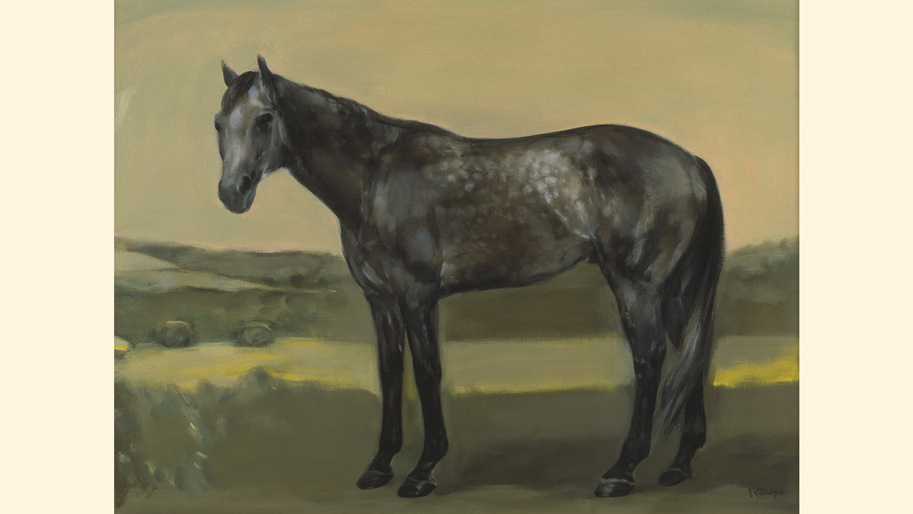 �I�O���L���b�v�̏ё���