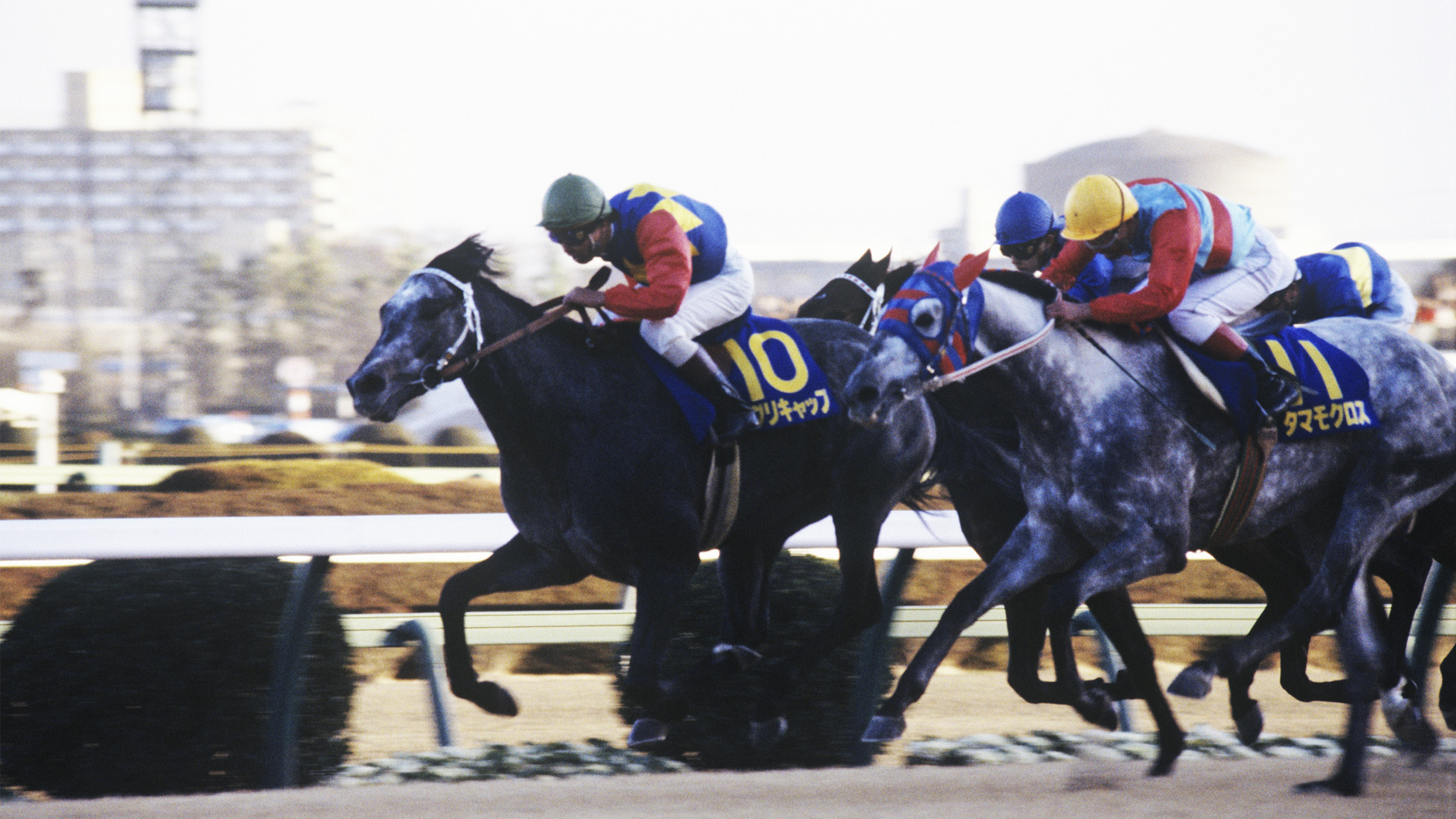 1988�N �L�n�L�O