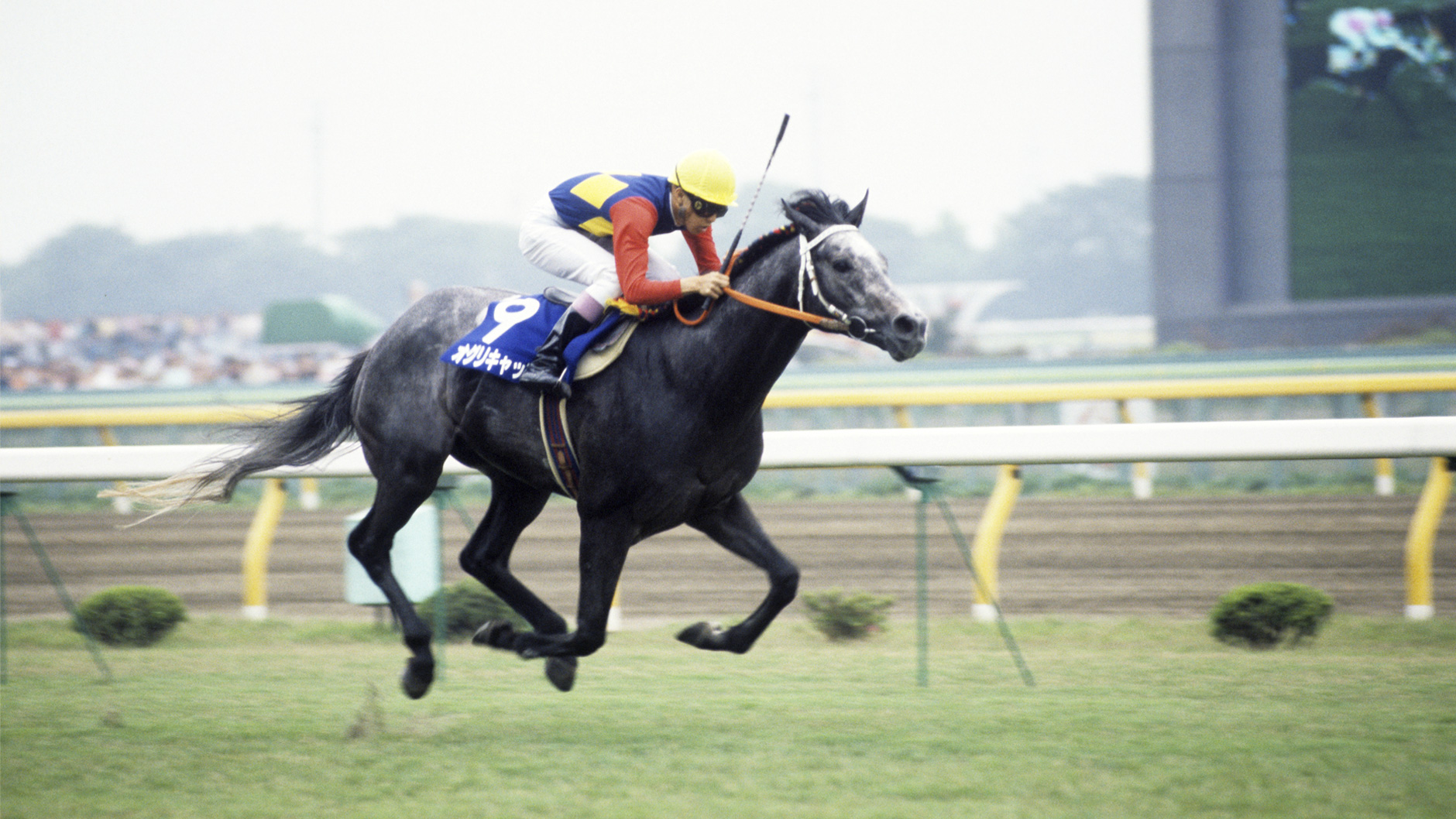 1990�N ���c�L�O