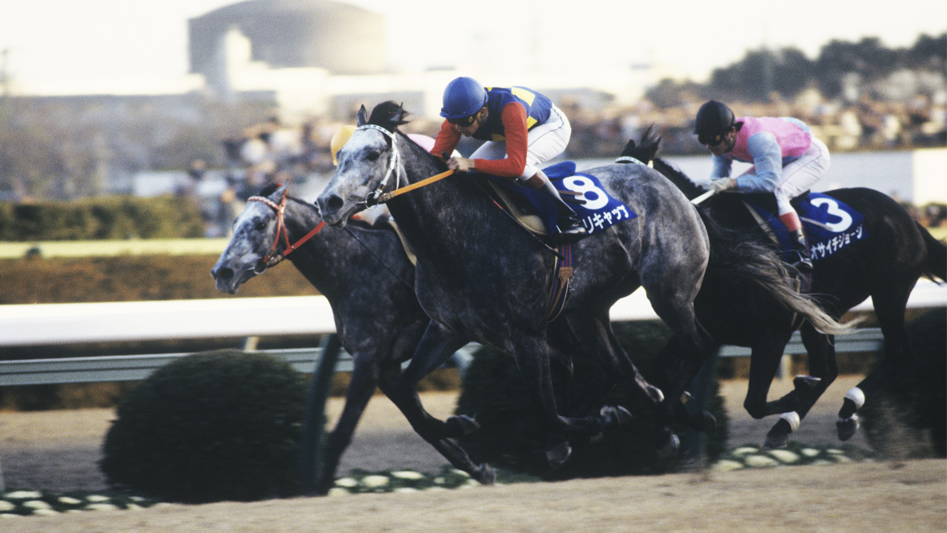 1990�N �L�n�L�O