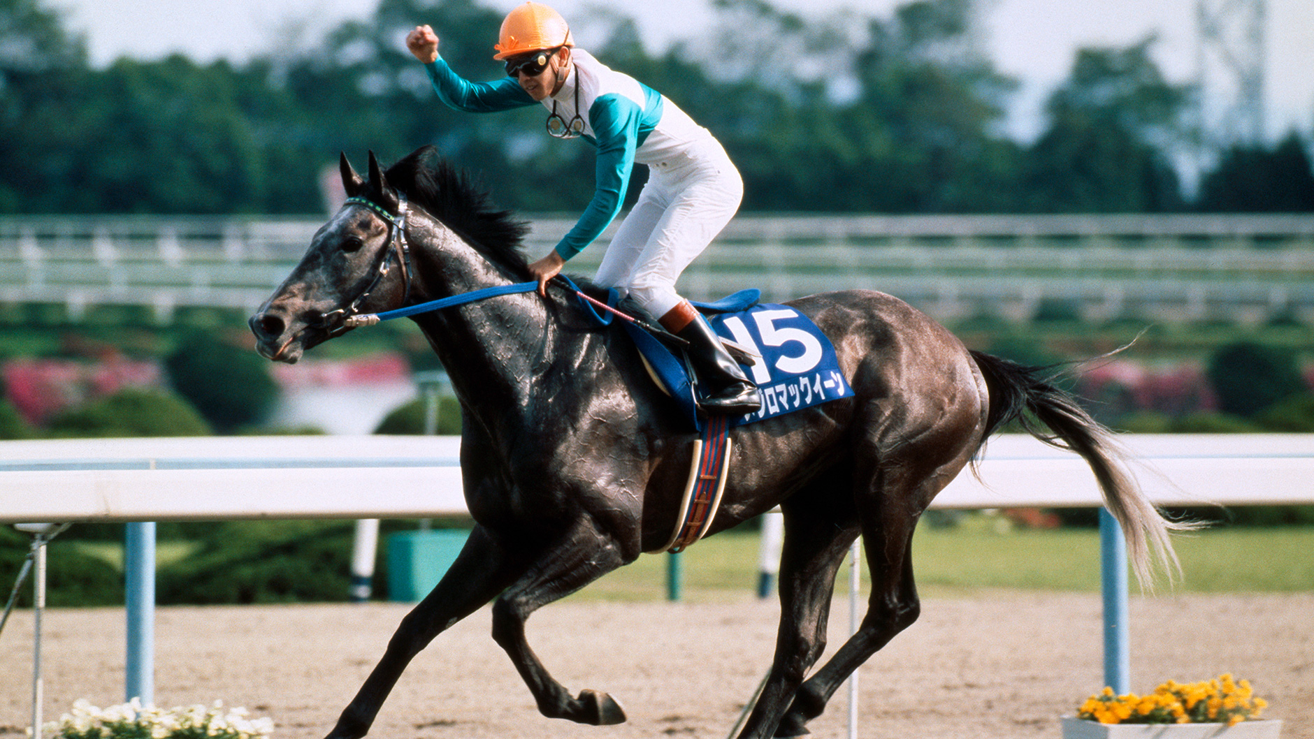 1991�N �V�c�܁i�t�j