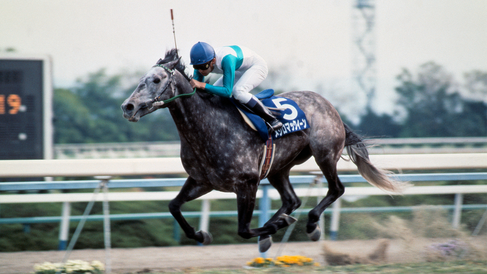 1992�N �V�c�܁i�t�j