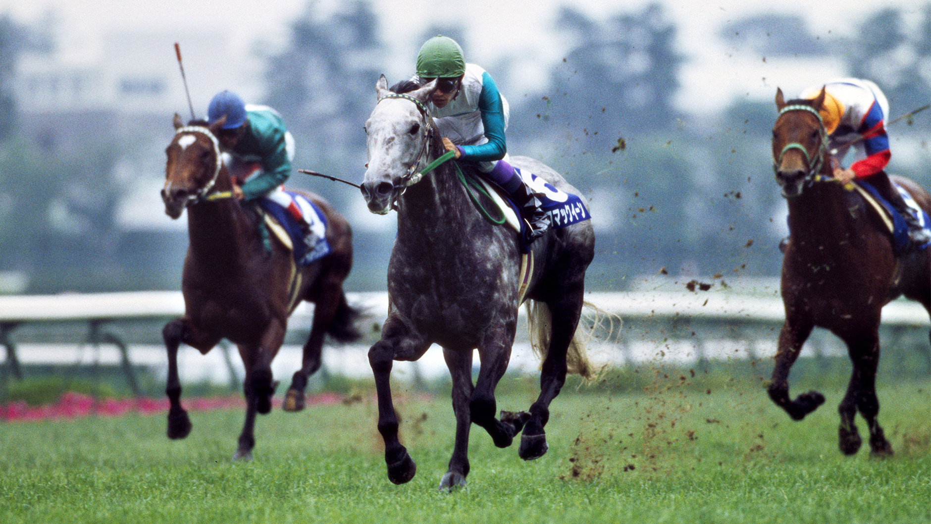 1993�N ��ˋL�O