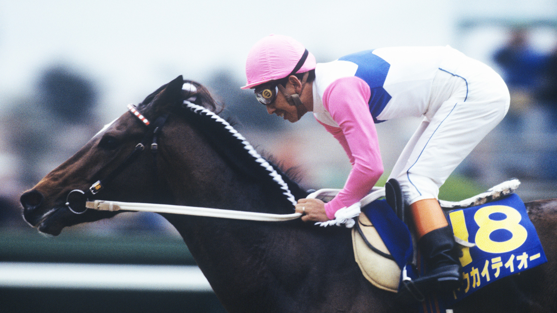 1991�N �H����