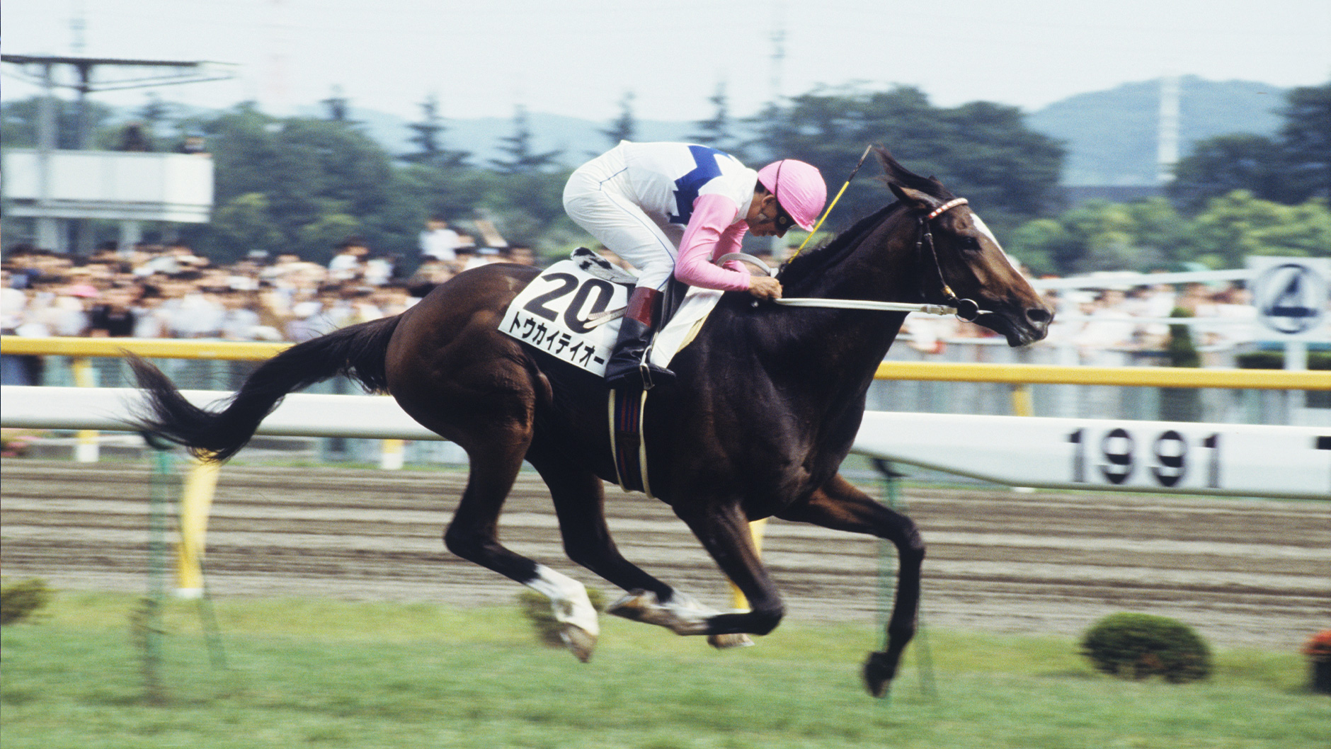 1991�N �����D�x