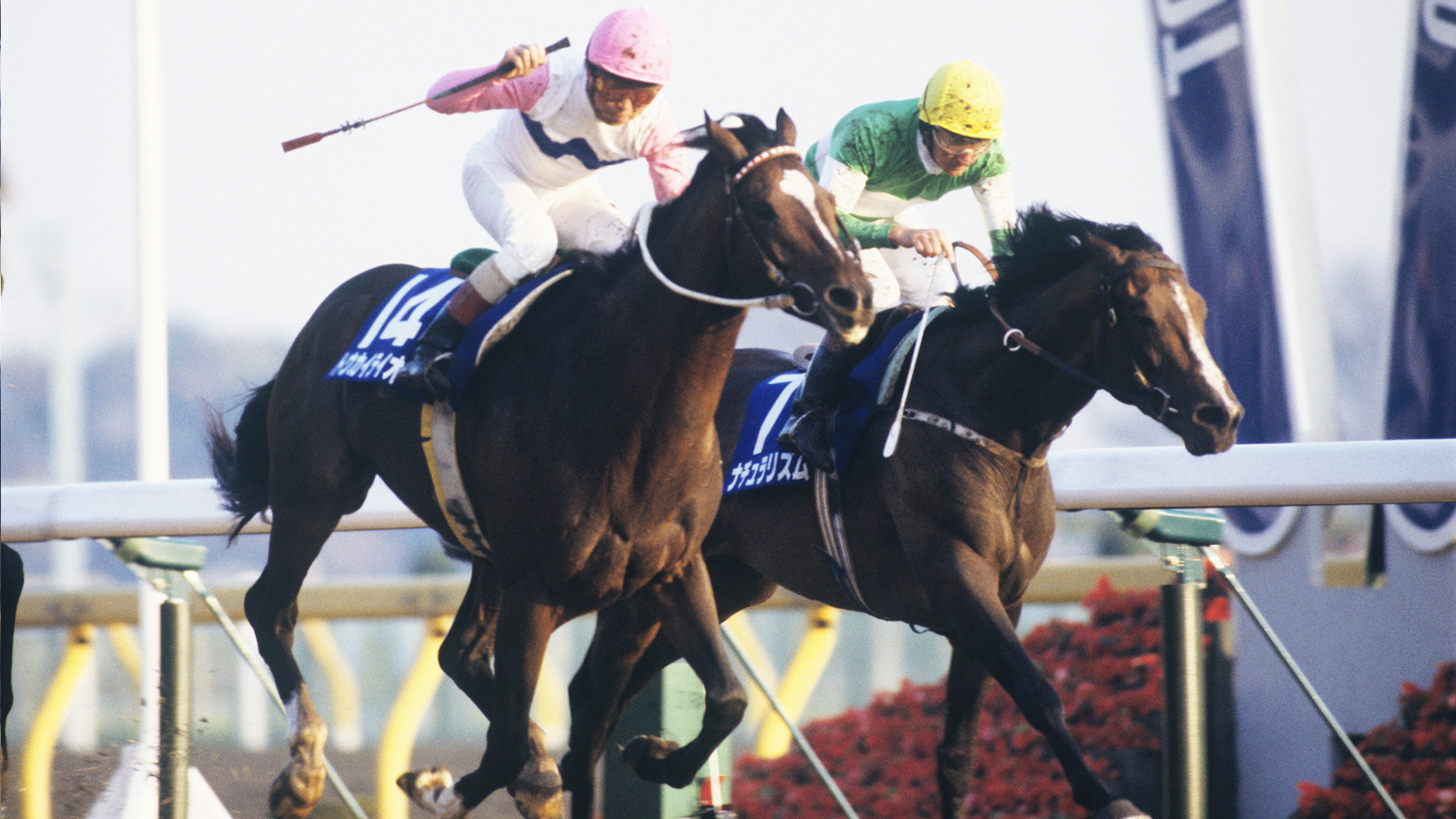 1992�N �W���p���J�b�v