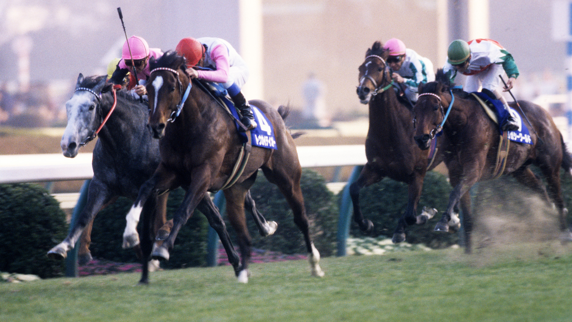 1993�N �L�n�L�O