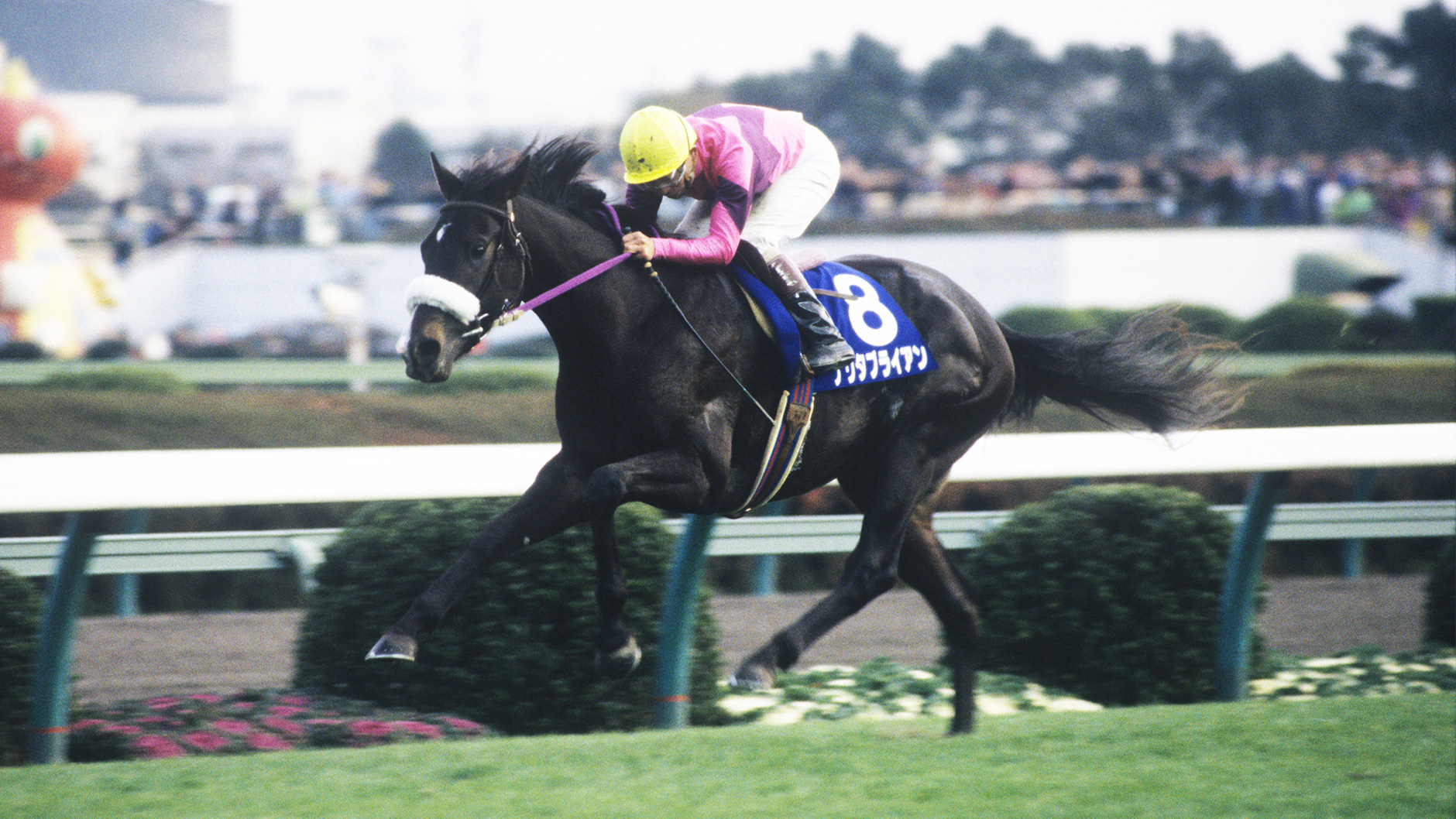 1993�N �����t3��S