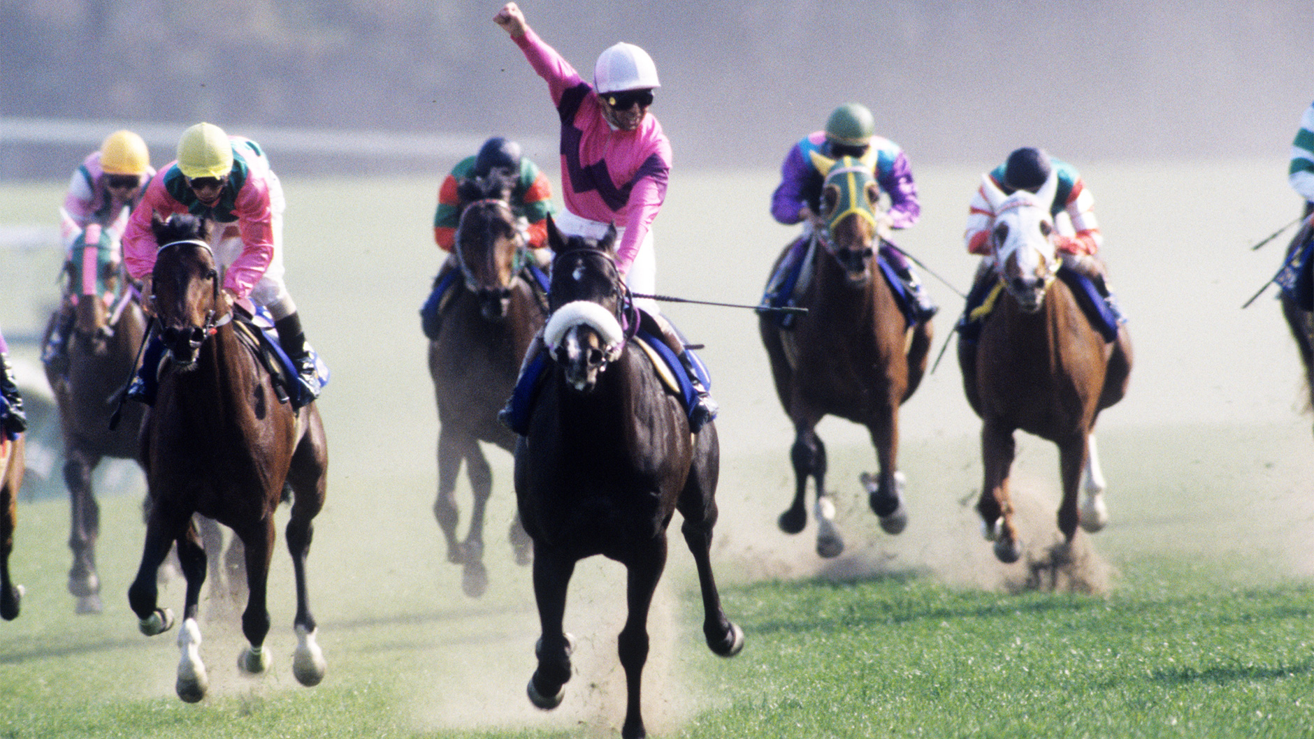 1994�N �H����