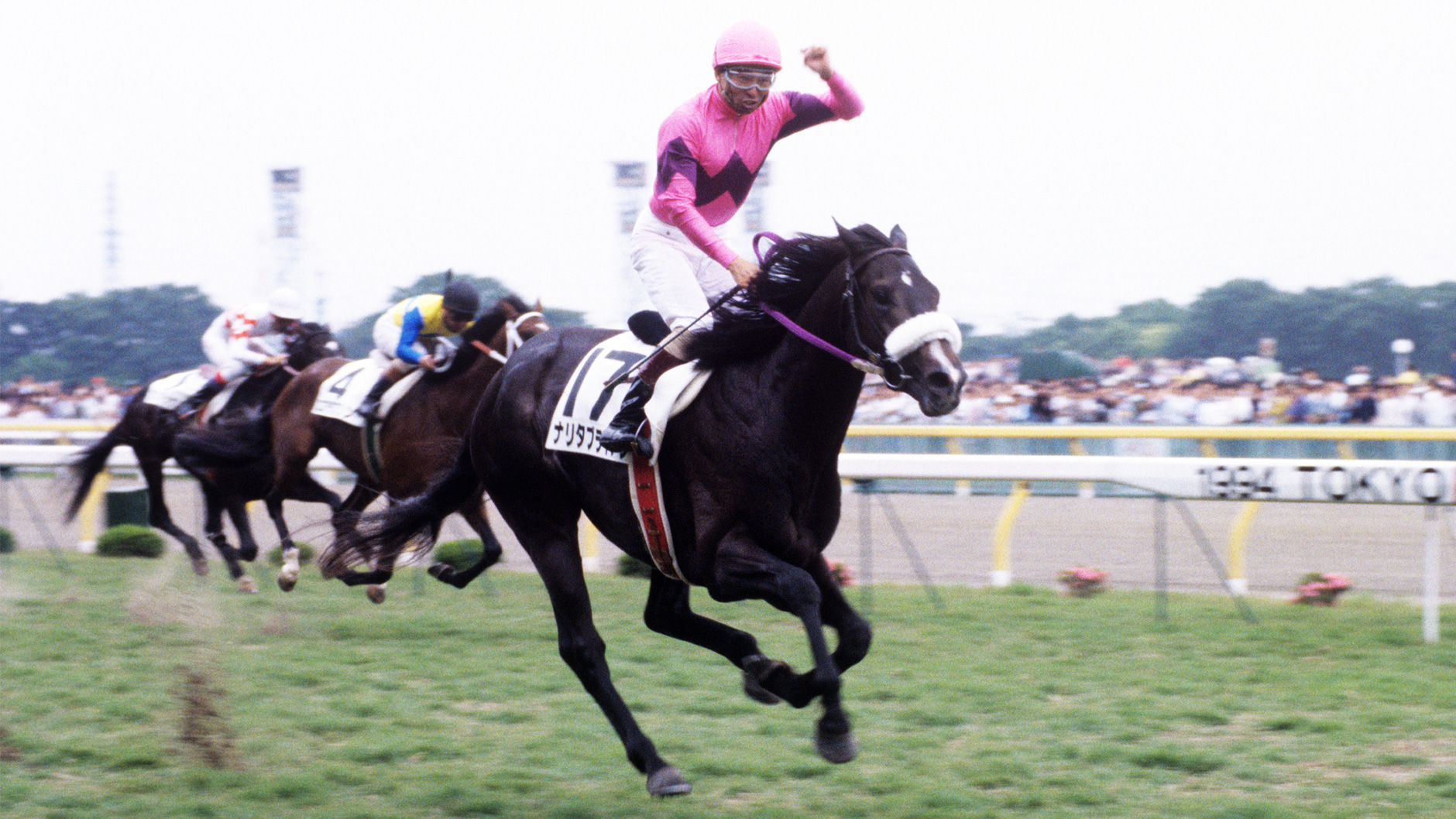 1994�N �����D�x