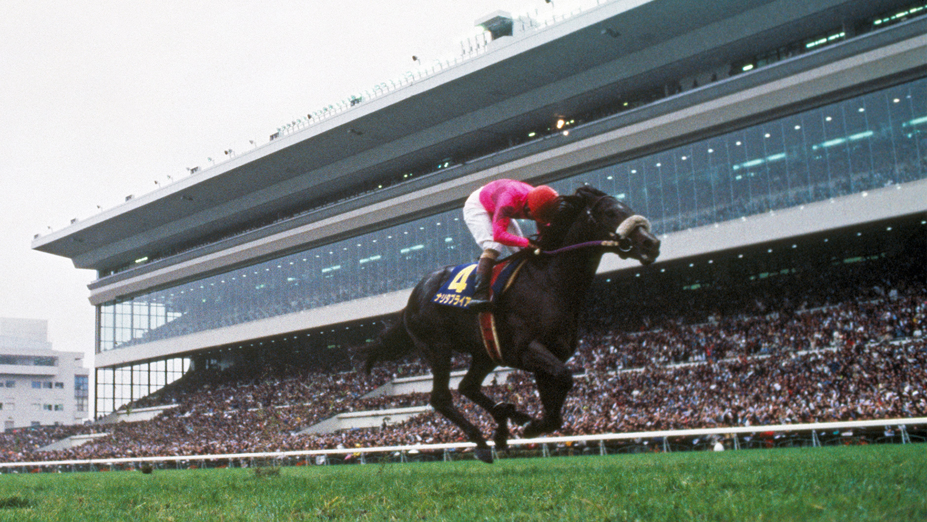 1994�N �e�ԏ�