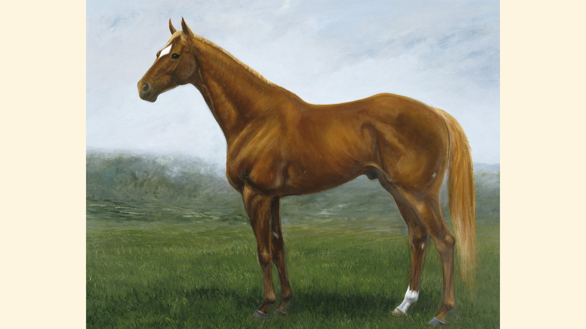 �^�C�L�V���g���̏ё���