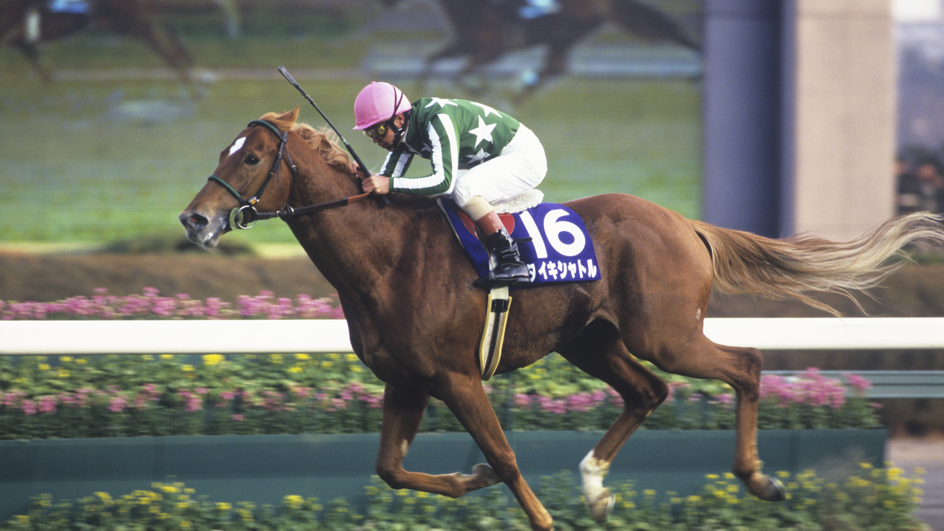 タイキシャトル：競馬の殿堂 JRA